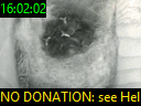 16:02:02
