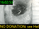 16:02:53