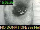 16:03:26