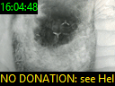 16:04:48