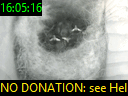 16:05:16