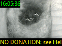 16:05:36