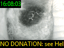 16:08:03