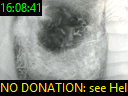 16:08:41