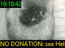 16:10:42