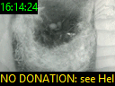 16:14:24