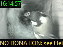 16:14:57