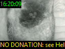 16:20:09