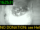 16:25:31