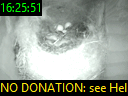 16:25:51