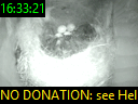 16:33:21
