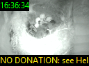 16:36:34