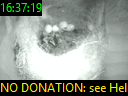 16:37:19