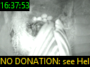 16:37:53