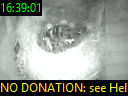 16:39:01