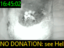 16:45:02