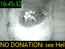 16:45:32