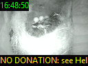 16:48:50