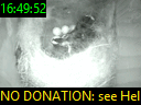 16:49:52