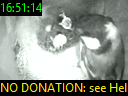 16:51:14