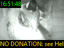 16:51:48