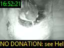16:52:21