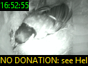 16:52:55