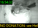 16:54:32