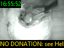 16:55:52