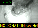 16:56:51