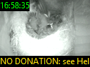 16:58:35