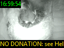 16:59:54