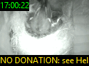 17:00:22