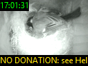 17:01:31