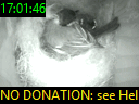 17:01:46