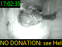 17:02:35