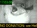 17:03:08
