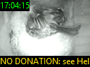17:04:15