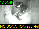 17:04:48