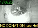 17:06:26