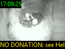 17:09:25