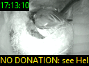 17:13:10