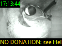 17:13:44