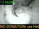 17:14:08