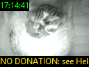 17:14:41