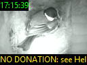17:15:39