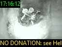 17:16:12