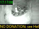 17:17:08