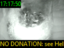 17:17:50