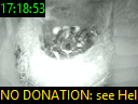 17:18:53